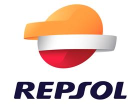 REPSOL RP664X42 - RP GRASA LITICA CENTRALIZADOS 00 CG