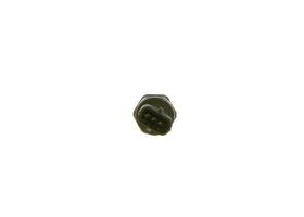 BOSCH 0281006035 - SENSOR DE PRESION