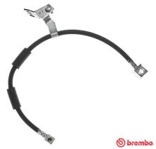 BREMBO T11008 - LATIGUILLO