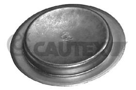 CAUTEX 950068 - TAPON BLOQUE(MOTORES FIRE)