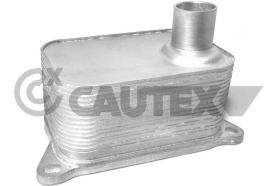 CAUTEX 462518 - RADIADOR ACEITE