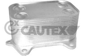 CAUTEX 462524 - RADIADOR ACEITE