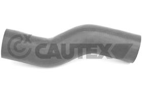 CAUTEX 767039 - MGTO RADIADOR