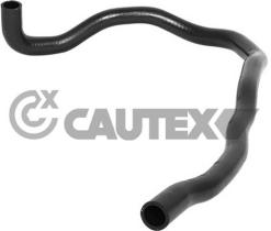 CAUTEX 753311 - MGTO RADIADOR